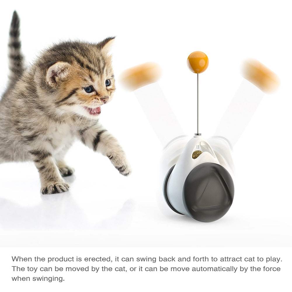 Interactive Swing Toy