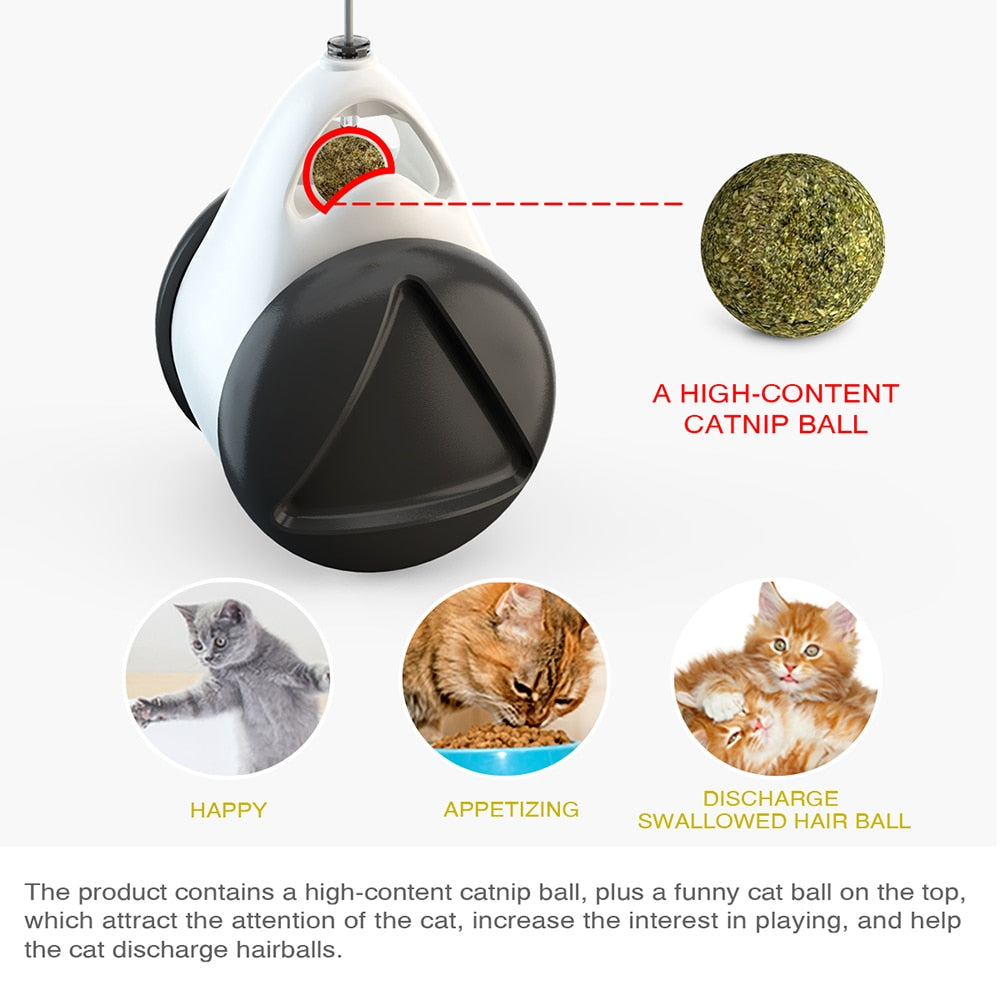Interactive Swing Toy