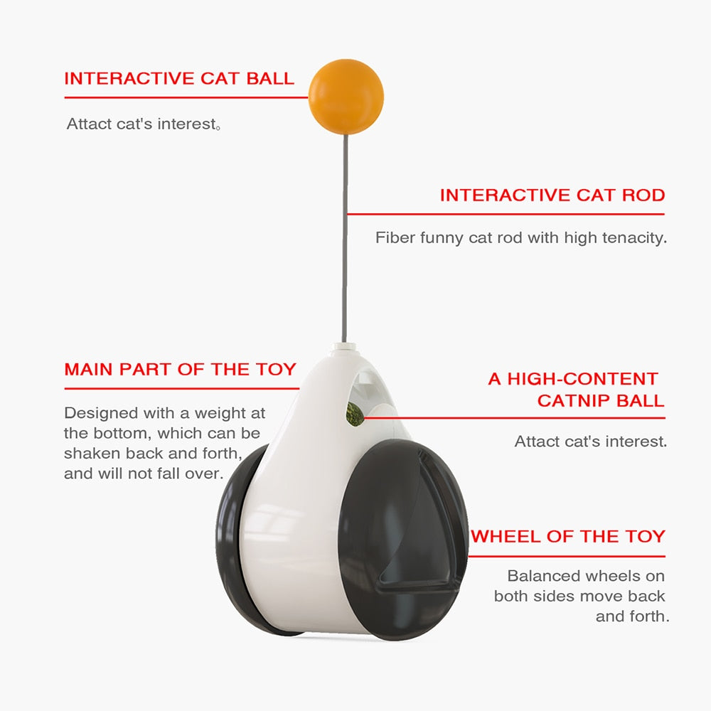 Interactive Swing Toy