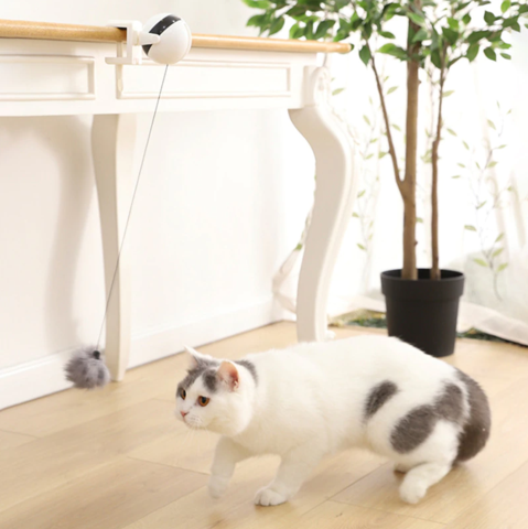Automatic Kitty String Toy