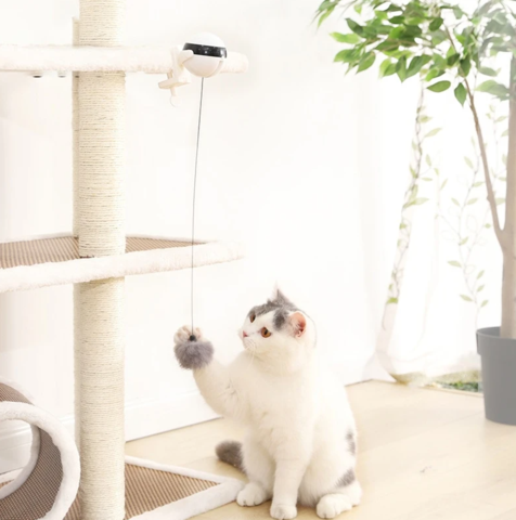 Automatic Kitty String Toy