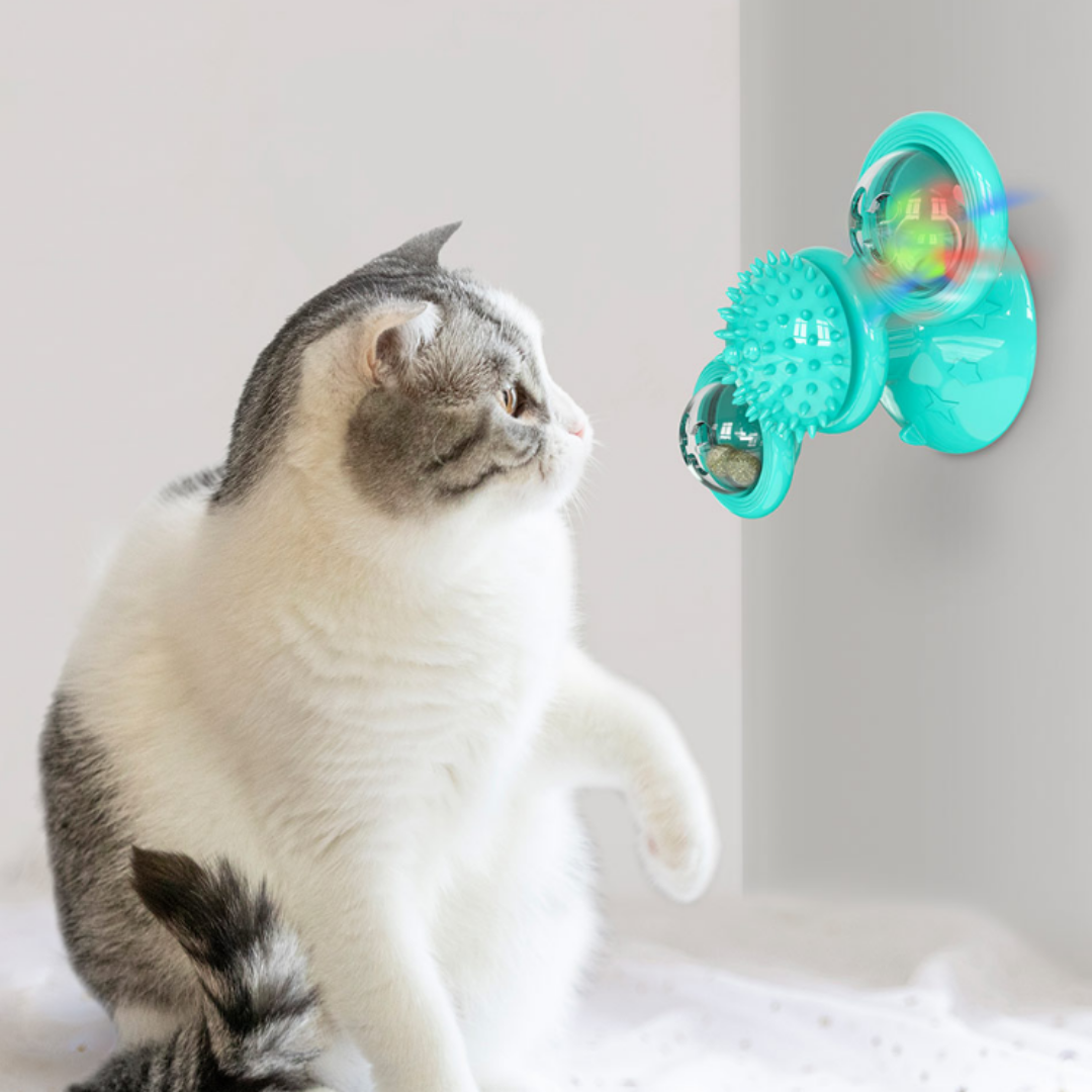 Spinning Fidget Toy
