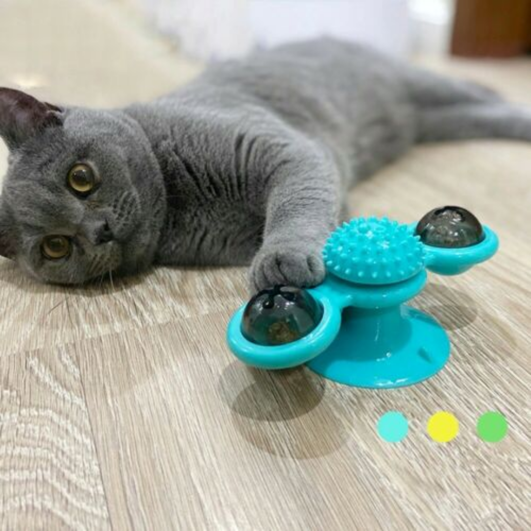 Spinning Fidget Toy