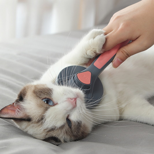 The Puurfect Kitty Brush