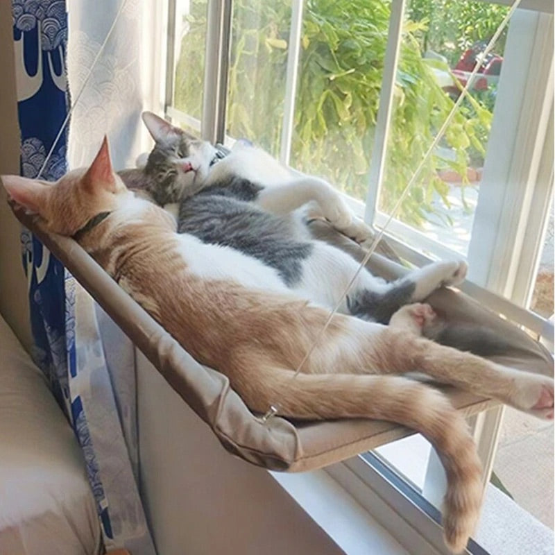The Kitty Hammock 🐱