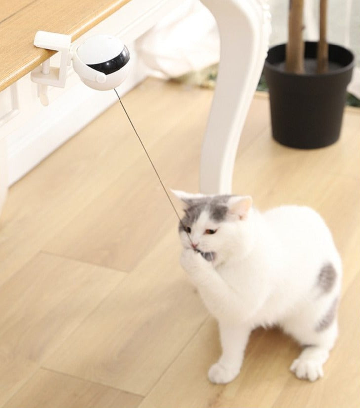 Automatic Kitty String Toy
