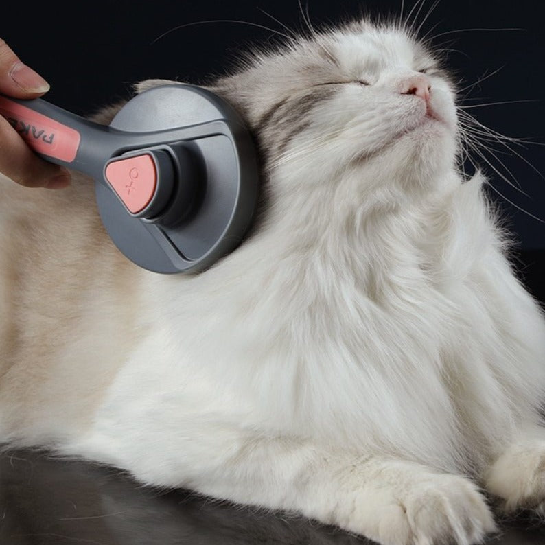 The Puurfect Kitty Brush