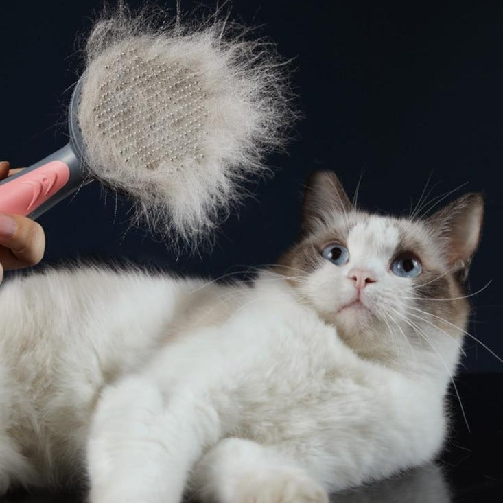The Puurfect Kitty Brush