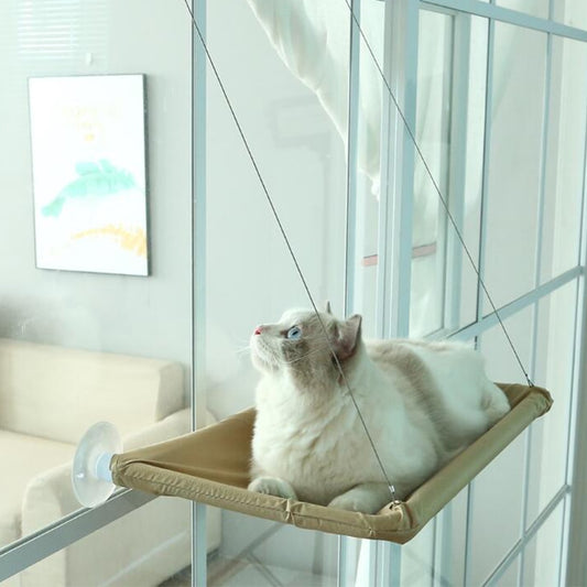 The Kitty Hammock 🐱