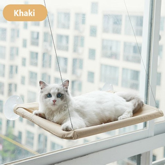 The Kitty Hammock 🐱