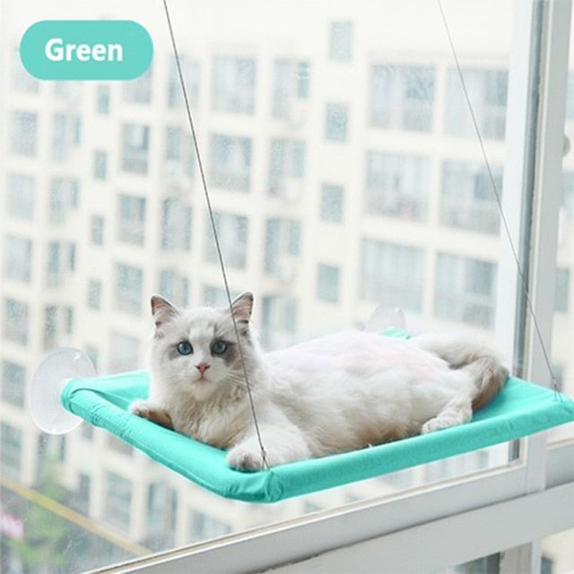 The Kitty Hammock 🐱