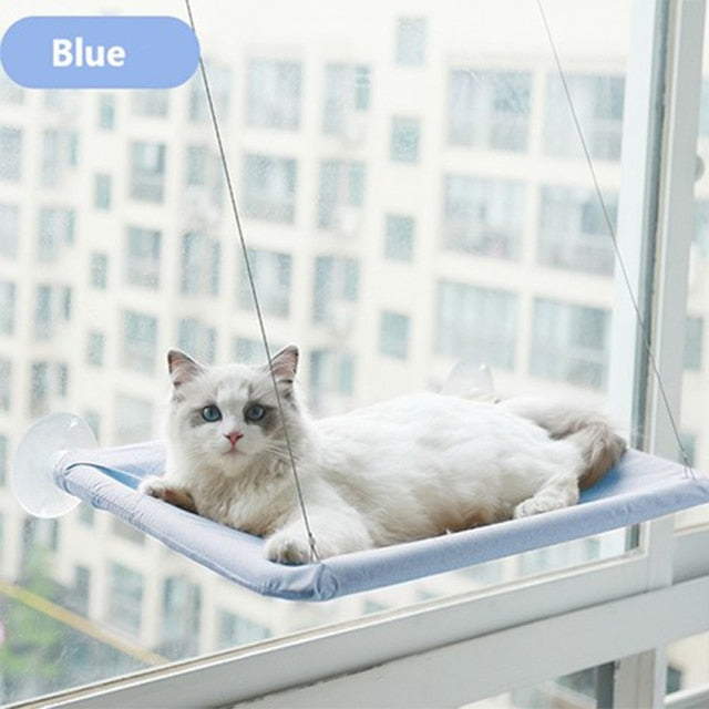 The Kitty Hammock 🐱