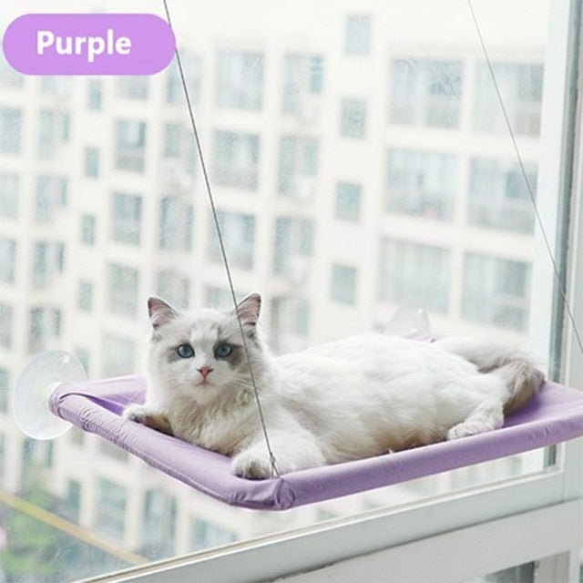 The Kitty Hammock 🐱