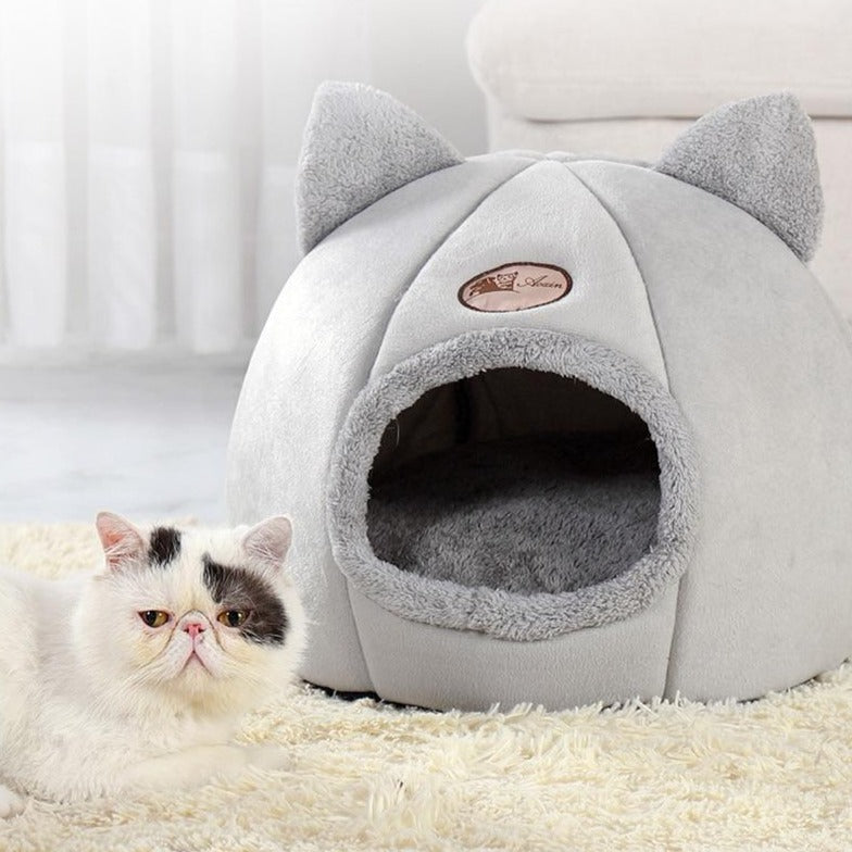 The Kitty Cave