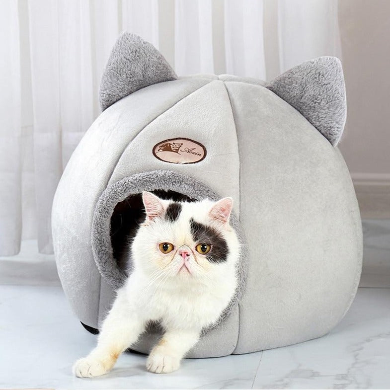 The Kitty Cave